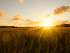 Creating a Meaningful Day